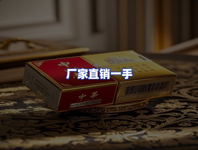 专业团队